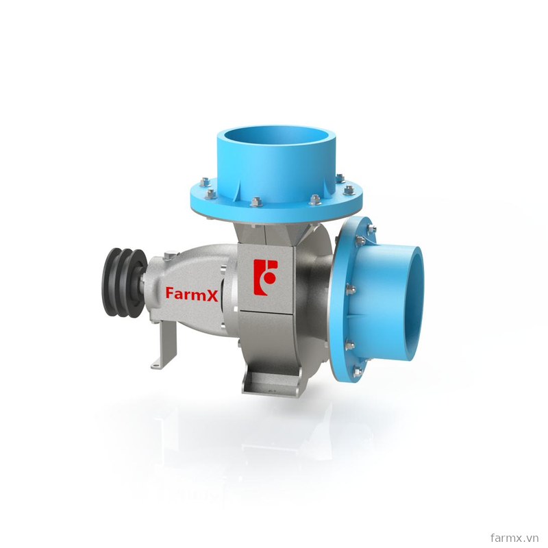 Đầu bơm nước FarmX C168 thân inox 304 nhìn chéo, cổ hút và cổ xả sơn xanh bắt bích, puly đôi bên trái