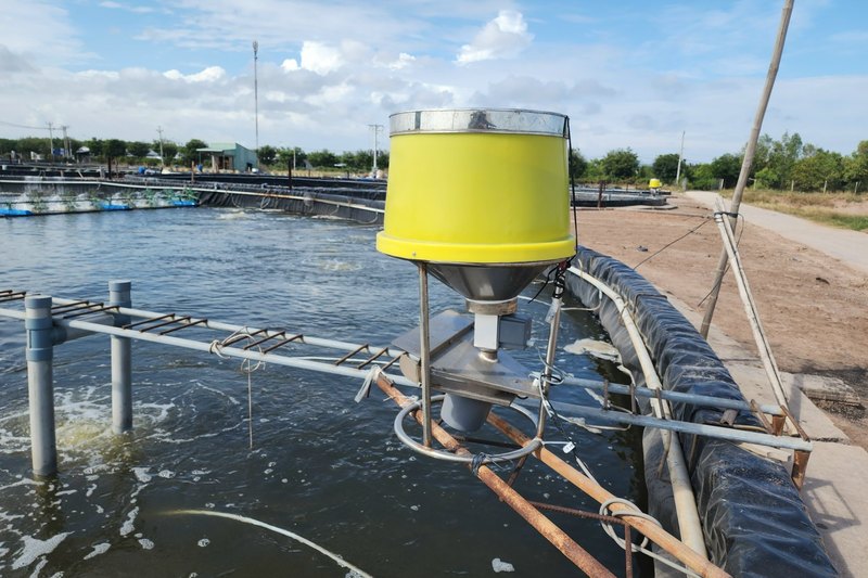 Máy cho tôm ăn phun mé bờ FarmX XP50 thùng vàng đặt sát mé bờ ao bạt, dàn quạt nước chạy phía sau, xưởng FarmX Đầm Dơi Cà Mau
