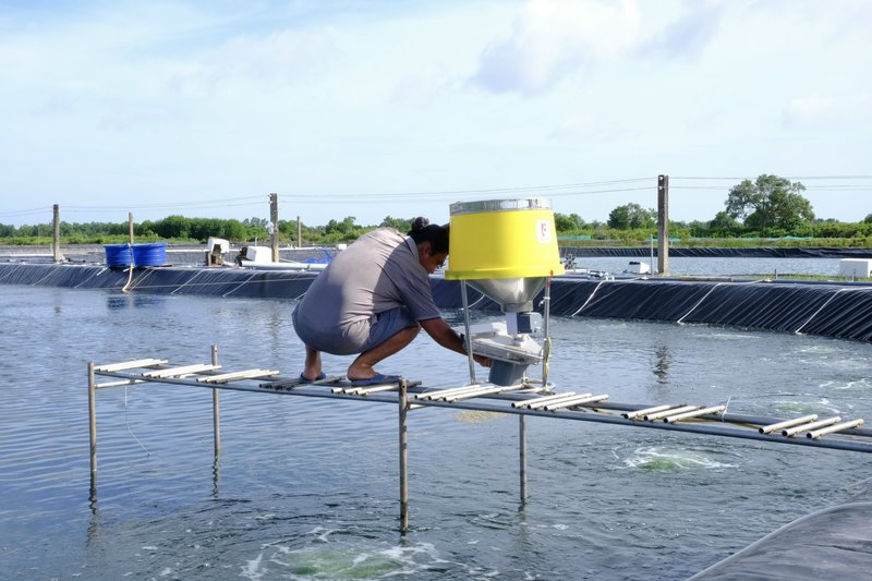 Người nuôi ngồi trên cầu ván chỉnh máy cho tôm ăn phun mé bờ FarmX XP50 thùng vàng giữa ao bạt, xưởng FarmX Đầm Dơi Cà Mau